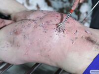 Young Captive Vadim - Part Ii - RusCapturedBoys - Russian
