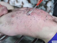 Young Captive Vadim - Part Ii - RusCapturedBoys - Russian