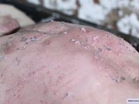 Young Captive Vadim - Part Ii - RusCapturedBoys - Russian