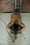 Zubayru 3 - RusCapturedBoys - Muscle