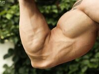 Dan Mase 1 - BFCollection, BoyFun - BFCollection