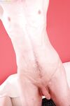 Dominic Reinhart 1 - BFCollection, BoyFun - Erotic