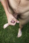 Desmond Hall 5 - BFCollection, BoyFun - BFCollection