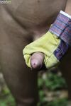 Jesse Jenkins 3 - BFCollection, BoyFun - Czech