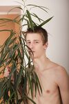 Leon3 3 - BFCollection, BoyFun - Uncut