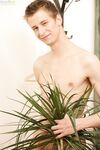 Leon3 4 - BFCollection, BoyFun - Solo