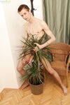 Leon3 4 - BFCollection, BoyFun - Solo