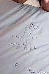 Bm0806 Paul Valentine Strokes (Paul Valentine) - BlakeMason - Masturbation
