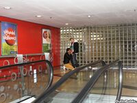 Op10085 - Out In Public - Out For Some Hot Ass - Roman Klaska & Honza Copak - Apr 20 2012 - BangBros, BigDaddy - BlowJob