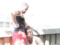 Op10596 - Out In Public - Body Buildling Public Raw Sex - Tomas Friedel & Peter Neo - Aug 10 2012 - BangBros, BigDaddy - Cumshots