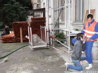 Op10812 - Out In Public - Hot Sex In The Shower - Deon Fox & Dee - Oct 12 2012 - BangBros, BigDaddy - Cumshots