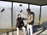 Op9836 - Out In Public - Gay Bareback Public Sex - Denis Reed & Leo Cooper - Mar 2 2012 - BangBros, BigDaddy - BigDaddy