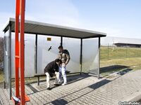 Op9836 - Out In Public - Gay Bareback Public Sex - Denis Reed & Leo Cooper - Mar 2 2012 - BangBros, BigDaddy - BigDaddy