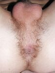 Anto - 19nitten, 19zone - Twinks