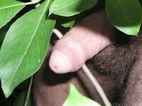 Bernard - 19nitten, 19zone - Twinks