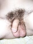 Bolik 1 - 19nitten, 19zone - Latino