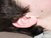 Carl - 19nitten, 19zone - Latino