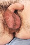 Cassian - 19nitten, 19zone - Latino