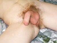 Charlie - 19nitten, 19zone - Latino