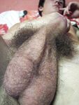 Chris F - 19nitten, 19zone - Latino