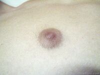 Chris F - 19nitten, 19zone - Latino