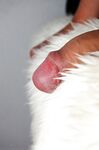 Colby - 19nitten, 19zone - Masturbation
