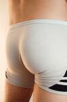 Dani - 19nitten, 19zone - Latino