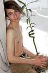Danil - 19nitten, 19zone - Latino