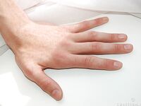 Danil - 19nitten, 19zone - Latino