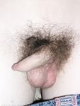 David - 19nitten, 19zone - Cumshot