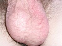 David - 19nitten, 19zone - Cumshot