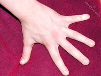 Felix - 19nitten, 19zone - Latino