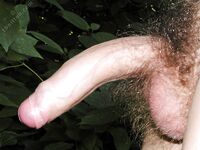 Gamlet 2 - 19nitten, 19zone - Masturbation