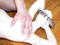 Jeremy - 19nitten, 19zone - Latino