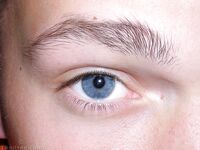 Jonnie - 19nitten, 19zone - Latino