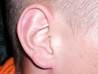 Jonnie - 19nitten, 19zone - Latino