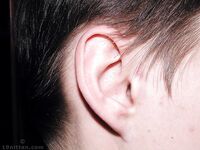 Kolya - 19nitten, 19zone - Twinks