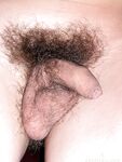 Kory - 19nitten, 19zone - 19zone