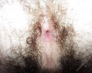 Kot - 19nitten, 19zone - Latino