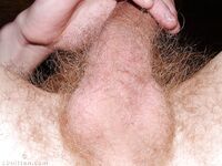 Matt - 19nitten, 19zone - Twinks