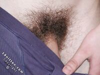 Mefis - 19nitten, 19zone - Latino