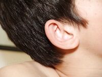Micky 1 - 19nitten, 19zone - Masturbation