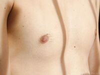 Micky 2 - 19nitten, 19zone - Latino