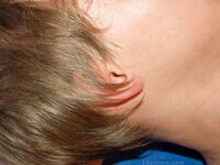 Pavel - 19nitten, 19zone - Twinks