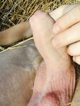 Robin - 19nitten, 19zone - Cumshot