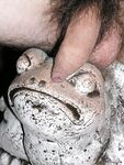 Roland - 19nitten, 19zone - Latino