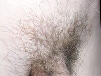 Rudie - 19nitten, 19zone - Latino
