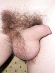 Solomon - 19nitten, 19zone - Cumshot