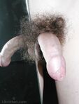 Stasjan - 19nitten, 19zone - Cumshot