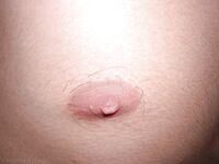 Surok - 19nitten, 19zone - Twinks